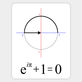 The most elegant equation Magnet
